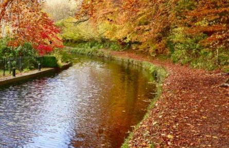 Our Home from Home in the heart of Abergavenny - Foto 38