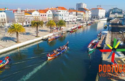 Casa do Cascão - Foto 19