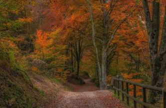 Appartamento Galet - Foto 31