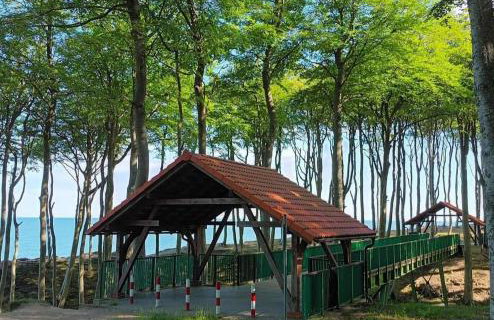 Freiraum Wytowno - Foto 40