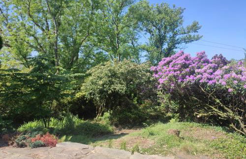 Y Cwtch - Panoramic mountain views within Snowdonia's National Park - 4x4 only - Foto 24