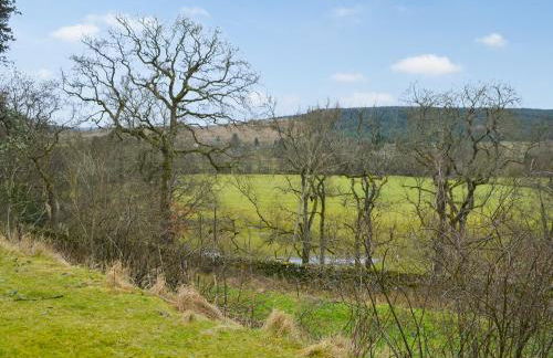 The Waiting Room - Foto 16