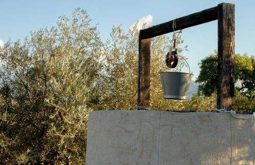 Victoria & Olivar - Foto 7