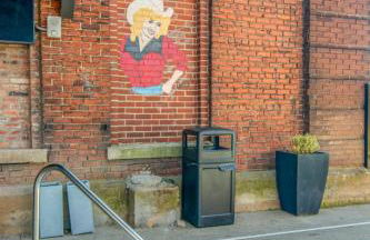 One-Of-A-Kind! Roll Up Garage Door-Pool, Speakeasy - Foto 52