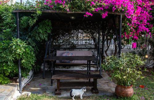 Beetle Villa retro country house - Foto 38