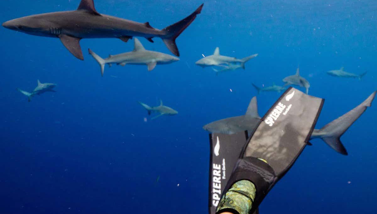 Disfrutando de la experiencia al máximo