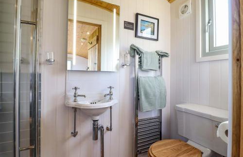 Charollais - Foto 10