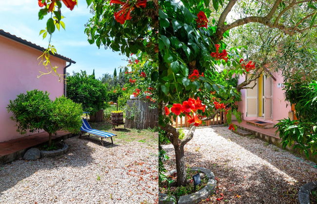 Appartamenti Il Mare e La Quiete - Foto 38