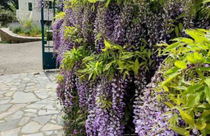 Stellinas House 2 - Foto 10