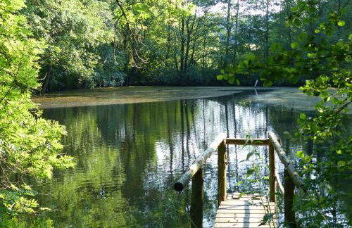 WERTS HOF FerienWohnen - Foto 71