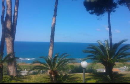 Naturoasi Resort - Photo 35