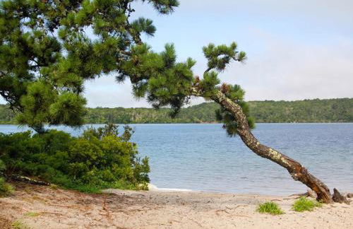 Beautiful Home Close to Ponds and Beach - Photo 30