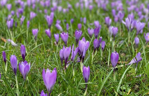 To Huus bi de Tine - Foto 35