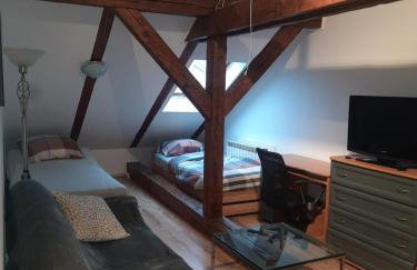 Loft przy Starym Mieście - Foto 11