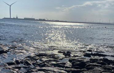 Casa del tiempo - Foto 14