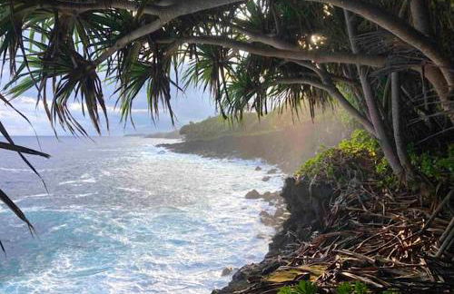 Seaside House and Aloha Bungalow - Foto 26