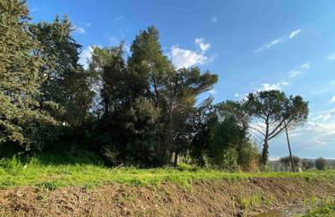 Country house in Maremma Villa Mafalda - Foto 35