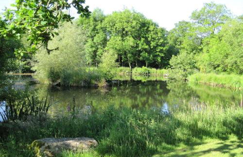 The Linhay - Photo 11