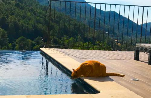 Gîte A Funtana Montestremo, Balagne, Haute Corse - Foto 51