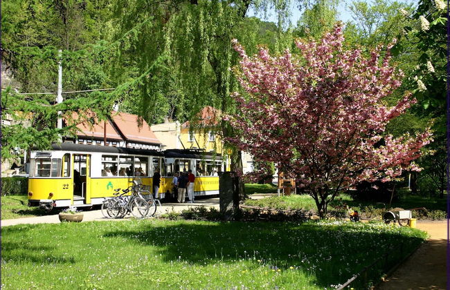 Ferienhaus Elbufer 83 - Foto 65