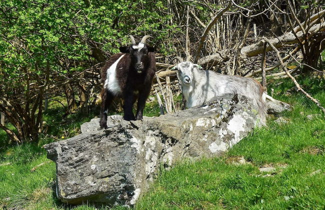 6 Person Holiday Home in Onarheim - Foto 32