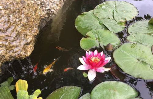 VIVA Countryside House - Foto 1