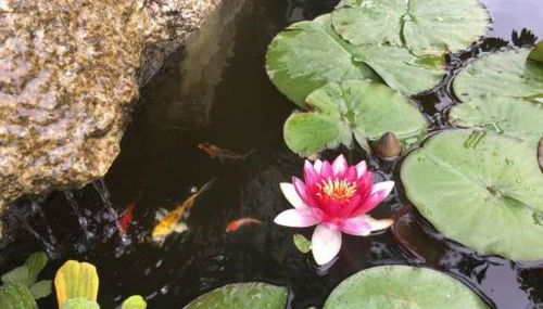 VIVA Countryside House - Foto 1