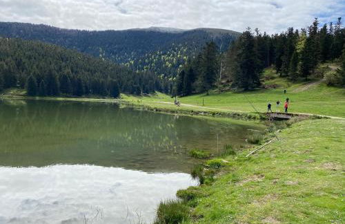 Gîte chaleureux au lac de Payolle - Foto 23
