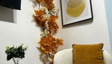 Apartamento Mamalú Jerez - Foto 5