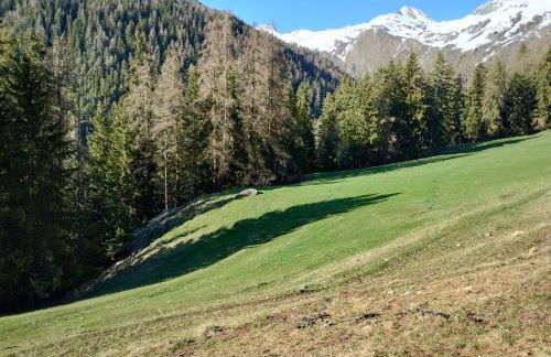 Casa per vacanze degli gnomi - Foto 39