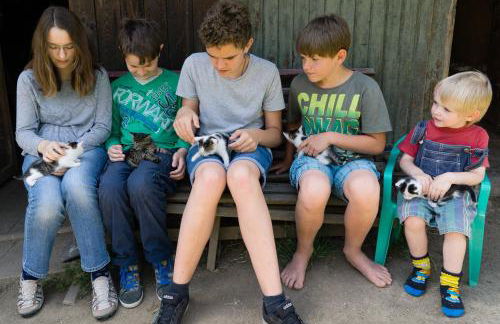 Grünsteinhof - Wohnung Rotstein - Foto 26