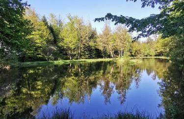 Chalet - gîte avec étang - Foto 13