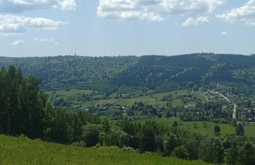 Domki Brzozówka w Bieszczadach - Foto 6