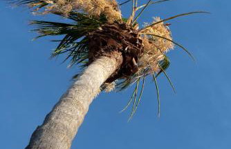 Dipagio Origin Villa - Foto 41