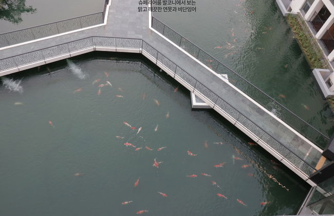 Pine Forest - Photo 22