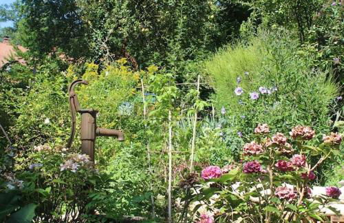 Traumwohnung mit eigenem Garten - Foto 41