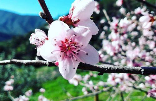 Casa do Freire - Serra da Estrela - Foto 28