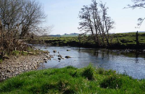 Elishaw Farm Holiday Cottages - Foto 39