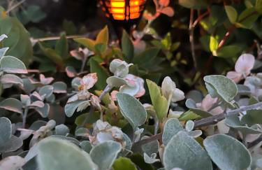 Le petit paradis - Foto 37