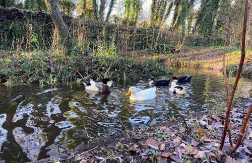 Old Droxford Station Signal Box - Photo 8