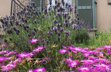 Agriturismo Collerisana - Photo 12