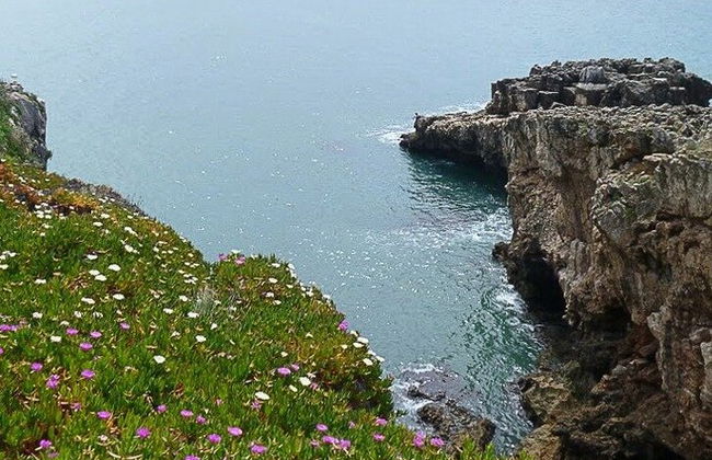 Private Full Day Tour of the Charming Village of Cascais - Photo 24