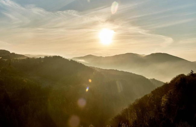 Terrace Retreat in Winterberg - Foto 24