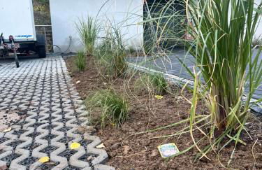 Ferienhaus Waldbaden im Nationalpark Eifel- am Bach - Foto 63