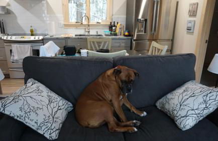 Stellahouse - Awesome Maine Treehouse - Foto 21