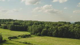 Bukolika Village Vibes - Foto 1