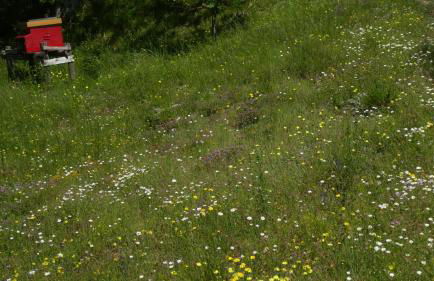 Cascina Marasca Appartamento Sole - Foto 29