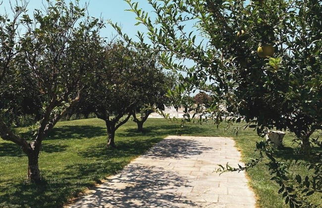 Tenuta Gli Agrumi del Salento - Photo 15