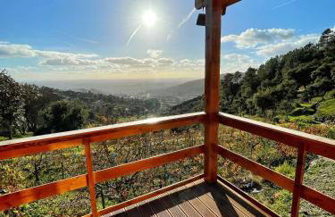 Quinta Altamira - Foto 38