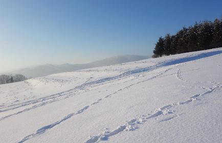 Agroturystyka Corno Owca - Foto 47